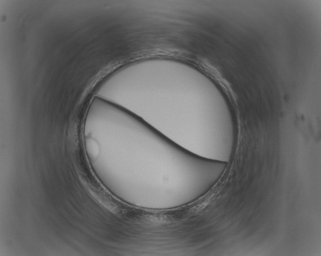 X0000082990250200702011151