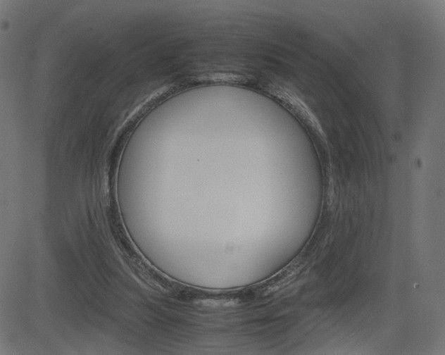 X0000082990251200702011151