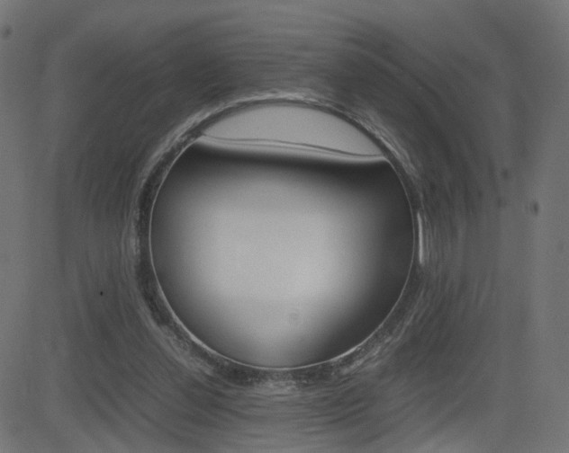 X0000082990252200702011151