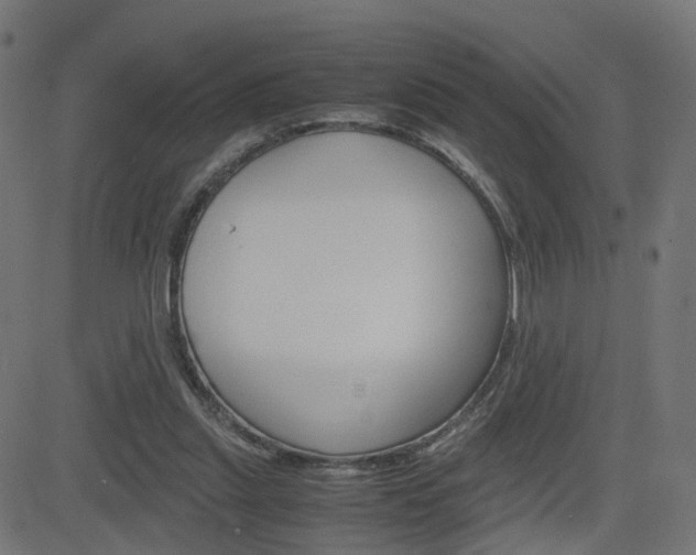 X0000082990253200702011151