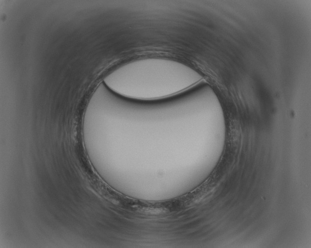 X0000082990255200702011151