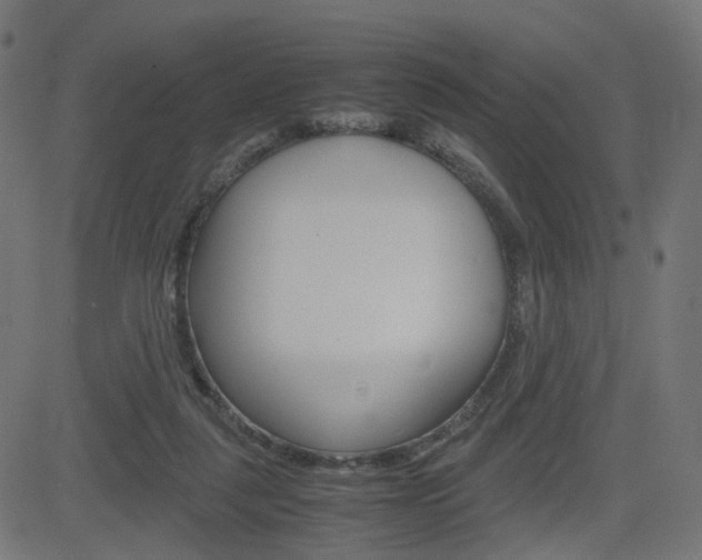 X0000082990259200702011151