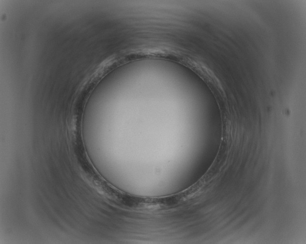 X0000082990260200702011151