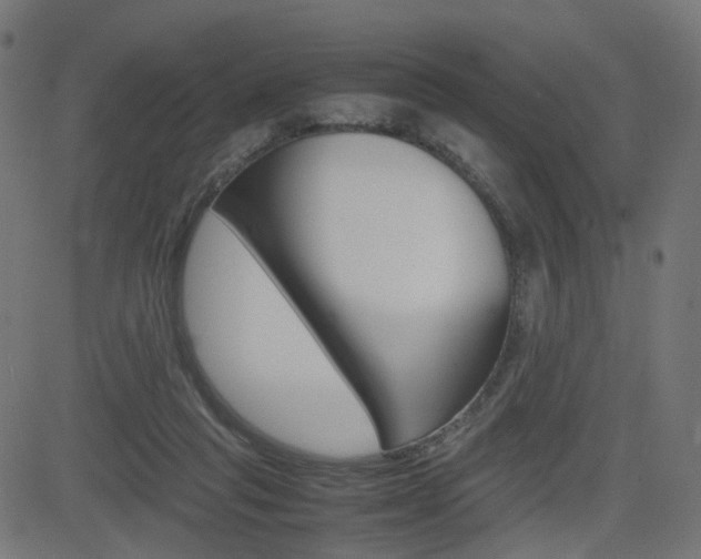X0000082990261200702011151