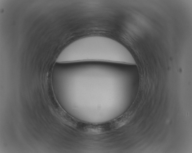 X0000082990263200702011151