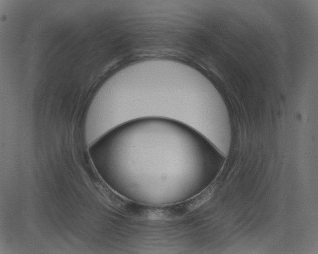 X0000082990264200702011151