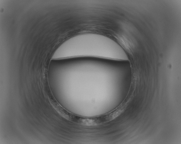 X0000082990265200702011151