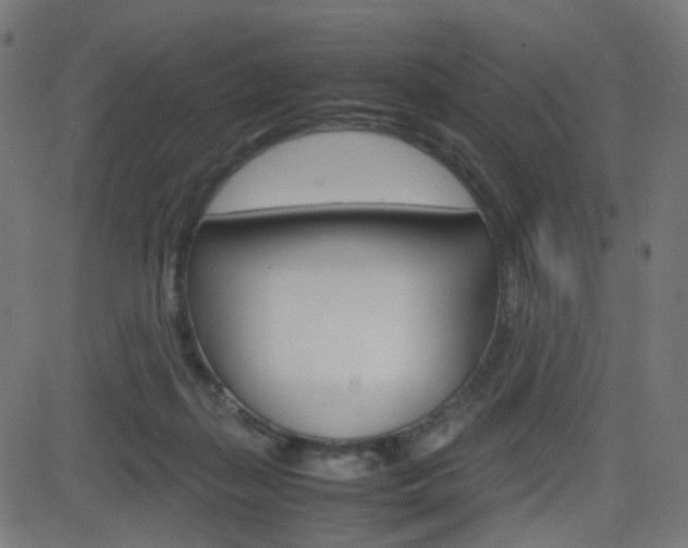X0000082990267200702011151