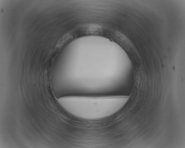 X0000082990270200702011151