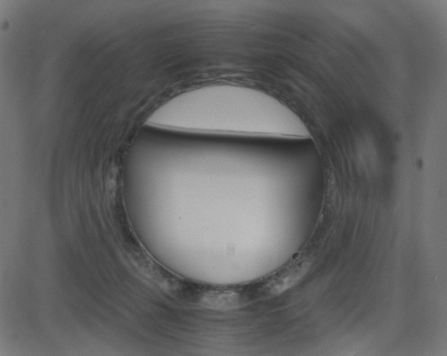 X0000082990271200702011151