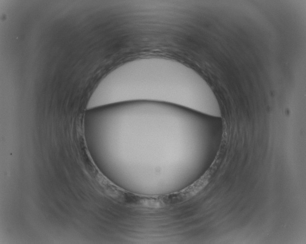 X0000082990272200702011151