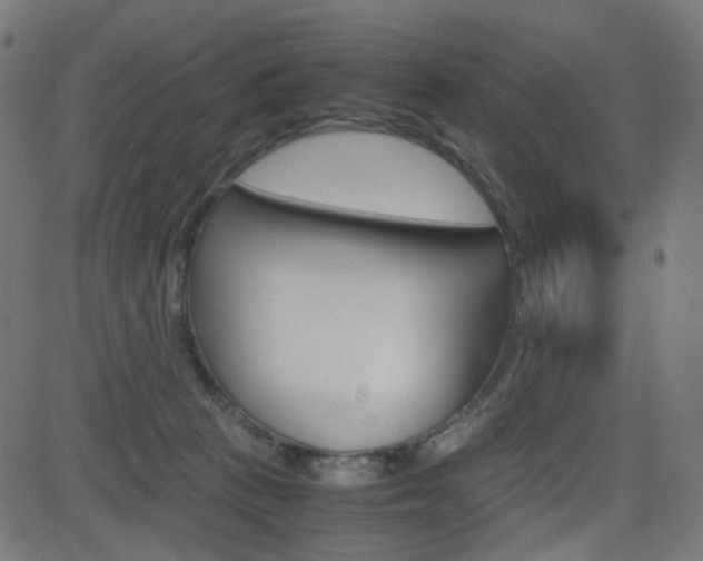 X0000082990273200702011151