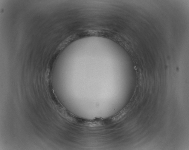 X0000082990275200702011151