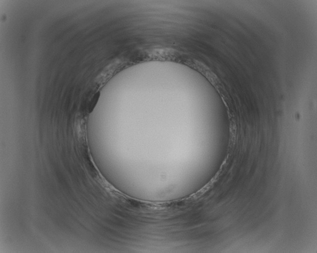 X0000082990276200702011151