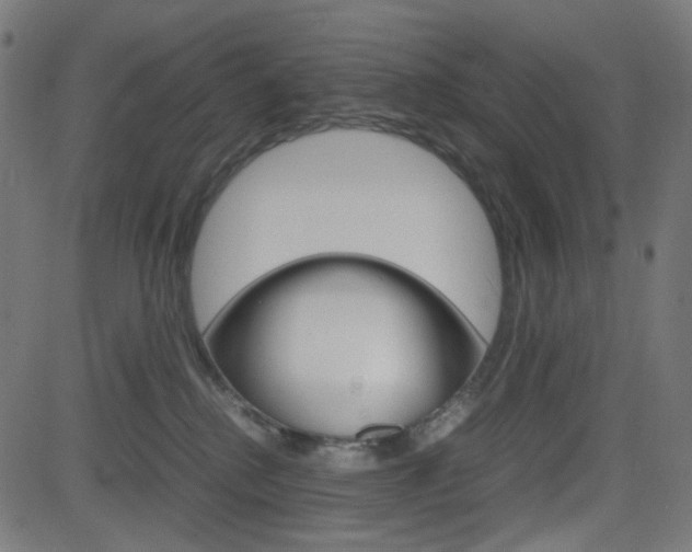 X0000082990280200702011152