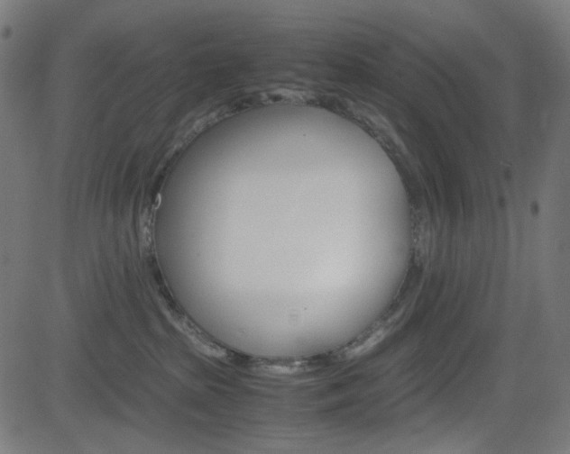 X0000082990285200702011152