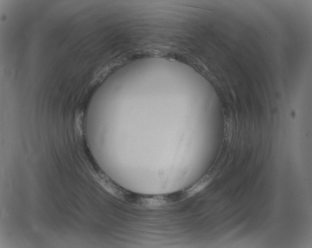 X0000082990286200702011152