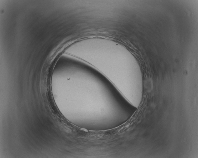 X0000082990291200702011151