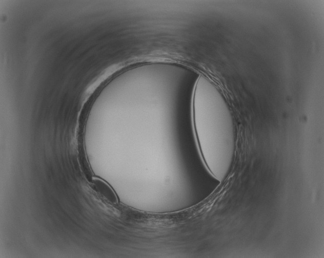 X0000082990292200702011151