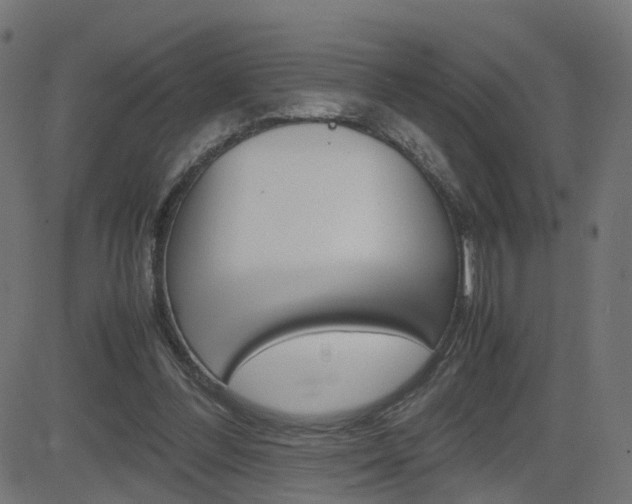 X0000082990300200702011151