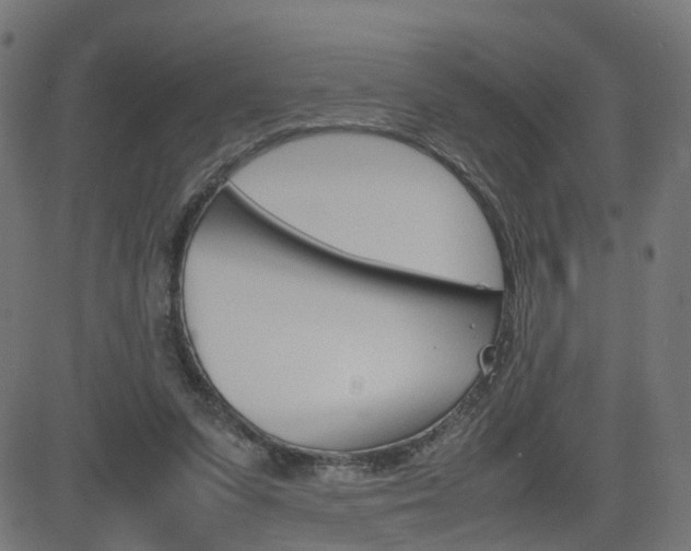 X0000082990303200702011151