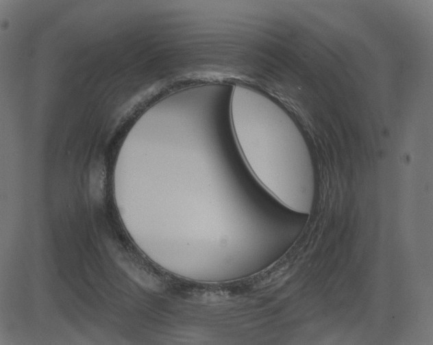 X0000082990304200702011151