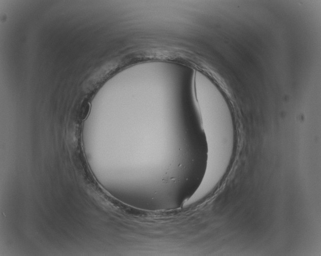X0000082990305200702011151