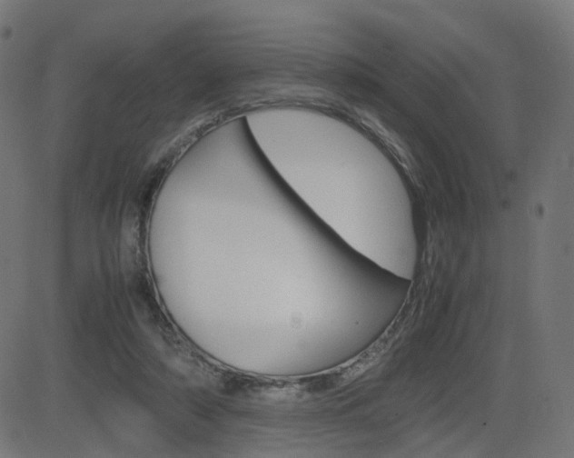 X0000082990306200702011151