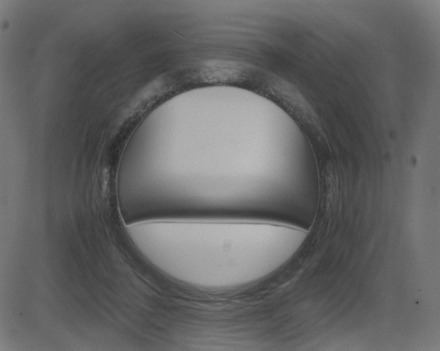 X0000082990308200702011151
