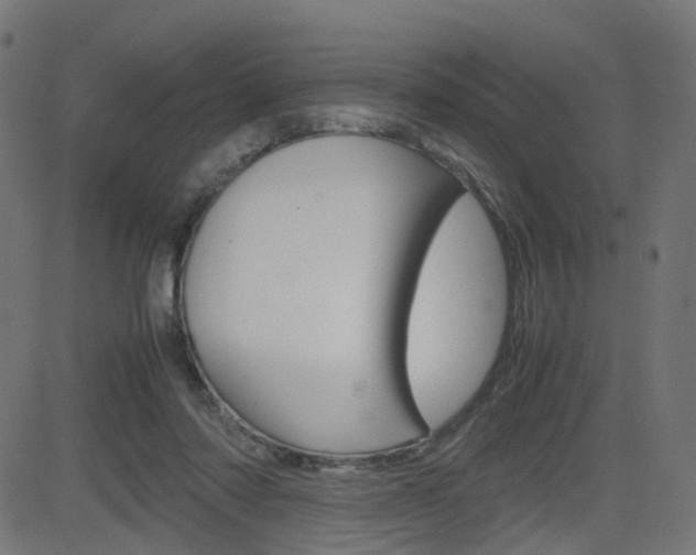 X0000082990310200702011151