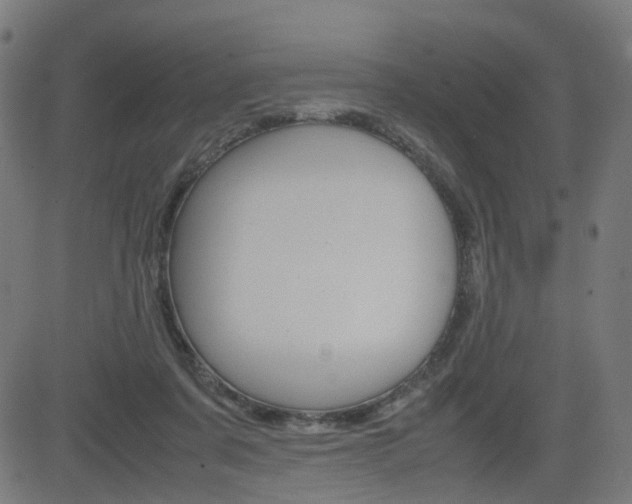X0000082990311200702011151