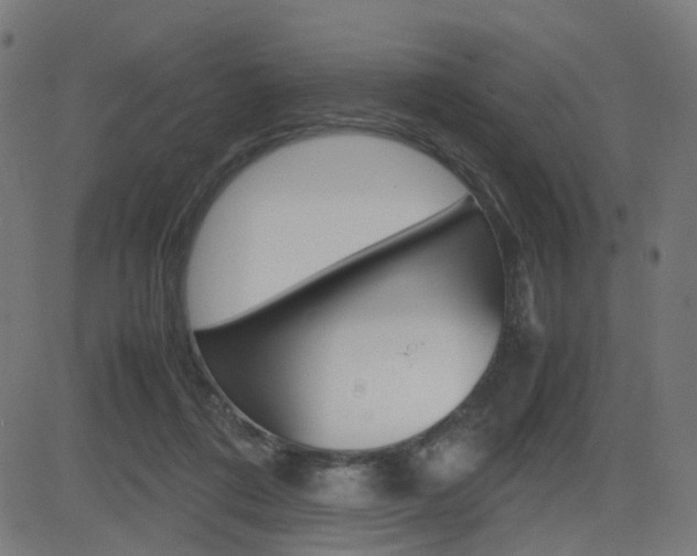 X0000082990312200702011151