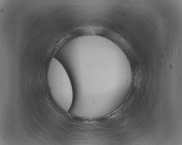 X0000082990314200702011150