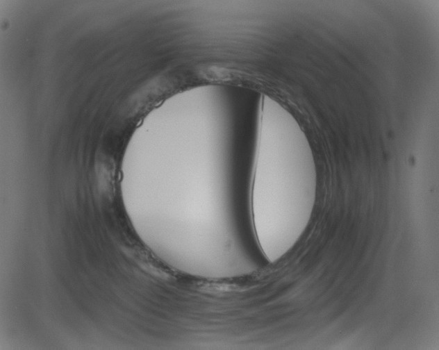 X0000082990332200702011150