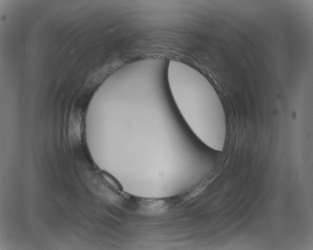 X0000082990334200702011150