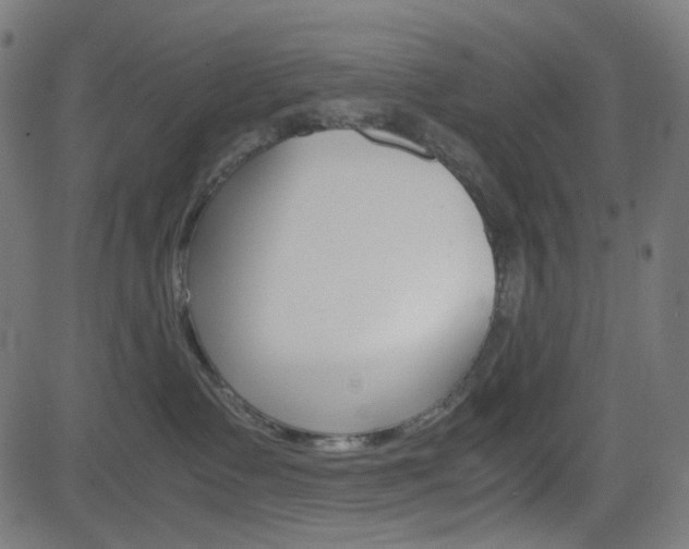 X0000082990335200702011150