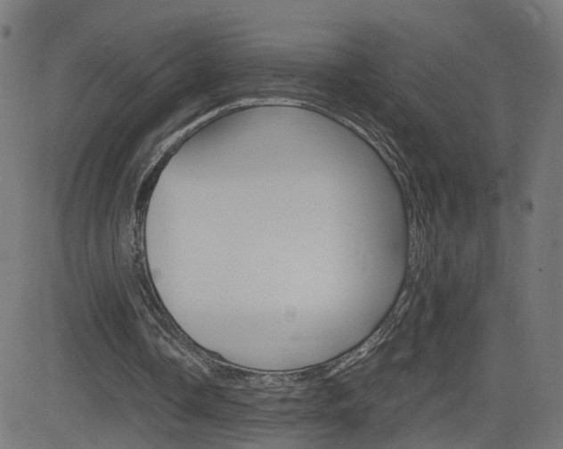 X0000082990338200702011149