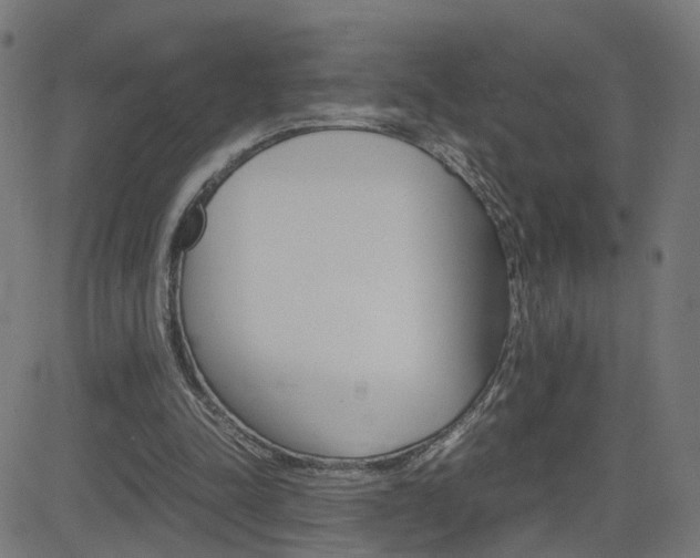 X0000082990342200702011149