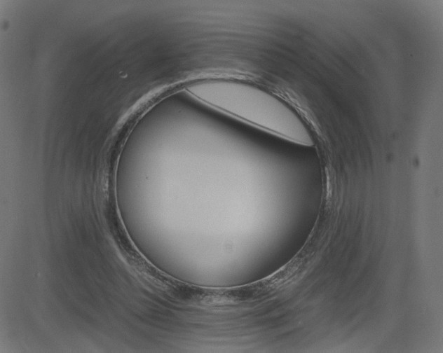 X0000082990348200702011150