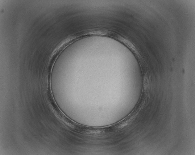 X0000082990349200702011150