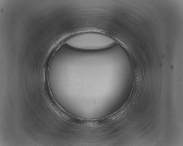 X0000082990350200702011150