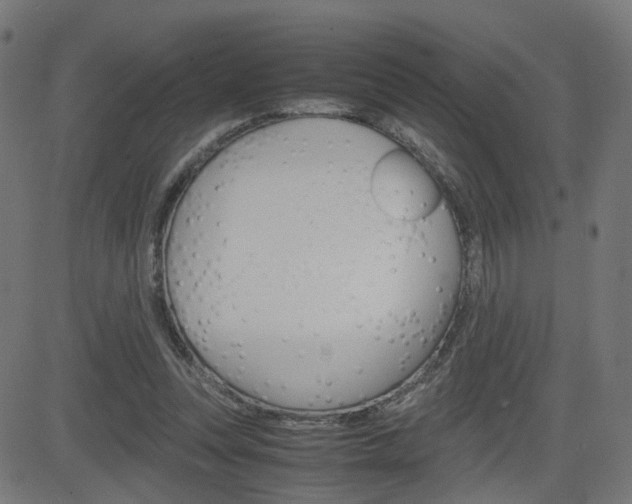 X0000082990351200702011150
