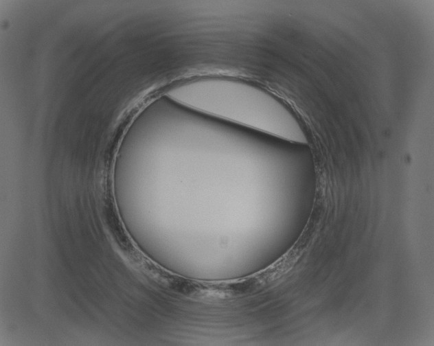 X0000082990352200702011150