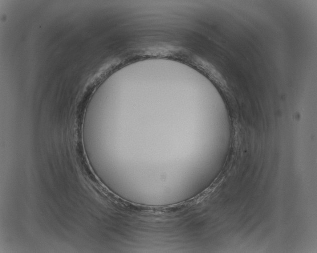 X0000082990354200702011150