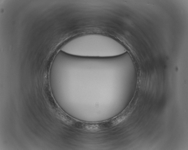 X0000082990355200702011150