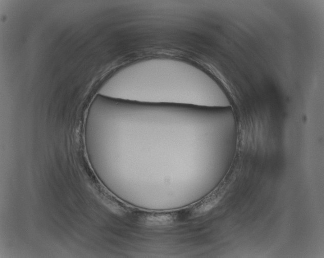 X0000082990357200702011150