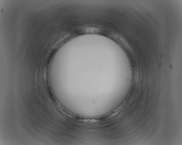 X0000082990363200702011150