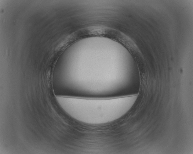 X0000082990364200702011150