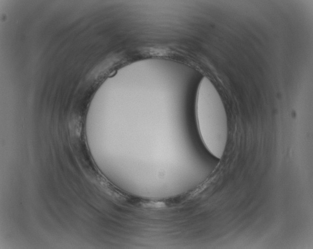 X0000082990374200702011150
