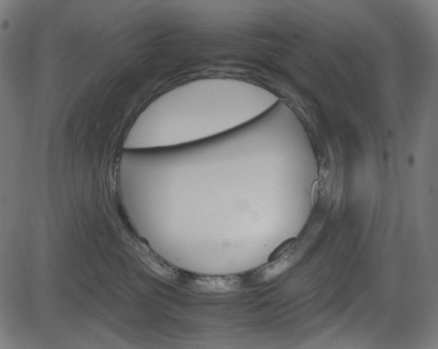 X0000082990381200702011150